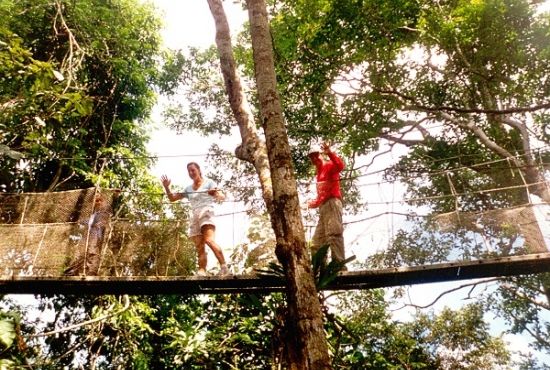 Heliconia &amp; Canopy Walkway  4 days 3 nights