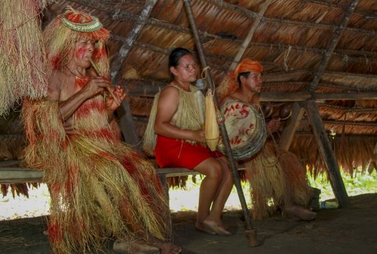 Ubicación / Lenguage